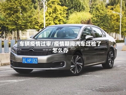 车辆疫情过审/疫情期间汽车过检了怎么办