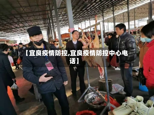 【宜良疫情防控,宜良疫情防控中心电话】