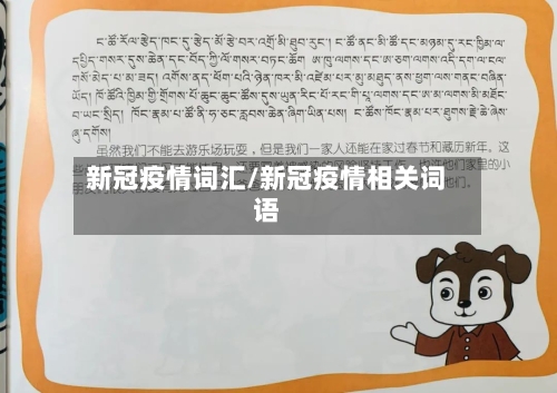 新冠疫情词汇/新冠疫情相关词语-第3张图片