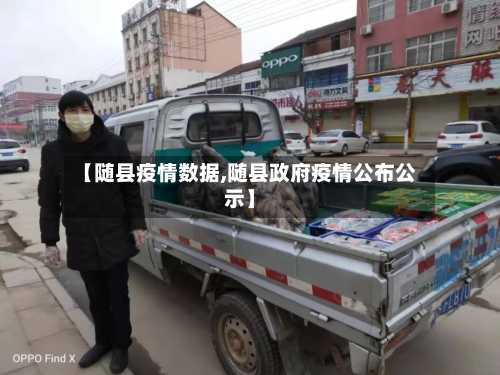 【随县疫情数据,随县政府疫情公布公示】