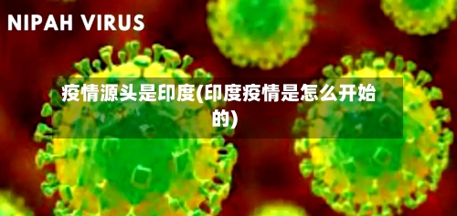 疫情源头是印度(印度疫情是怎么开始的)-第2张图片