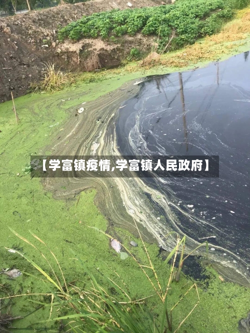 【学富镇疫情,学富镇人民政府】-第2张图片