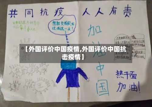 【外国评价中国疫情,外国评价中国抗击疫情】-第2张图片