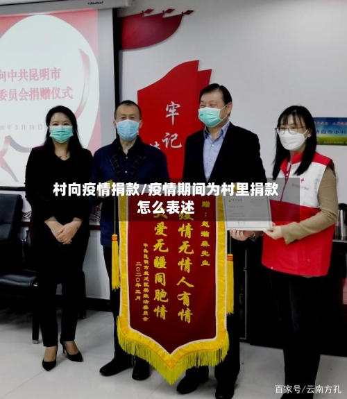 村向疫情捐款/疫情期间为村里捐款怎么表述