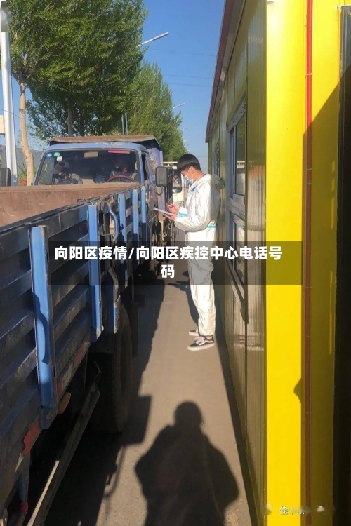 向阳区疫情/向阳区疾控中心电话号码
