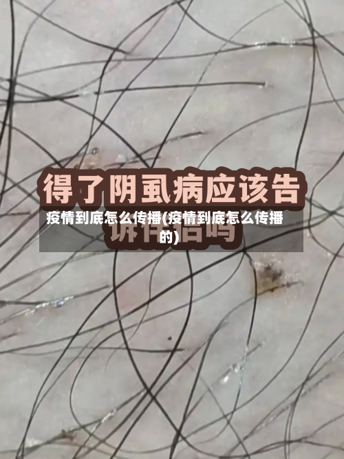 疫情到底怎么传播(疫情到底怎么传播的)-第2张图片