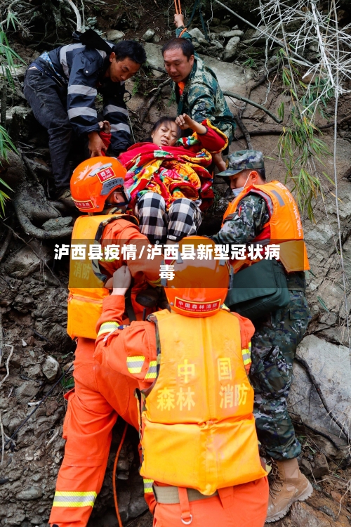 泸西县疫情/泸西县新型冠状病毒