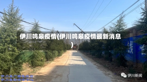 伊川鸣皋疫情(伊川鸣皋疫情最新消息)-第2张图片