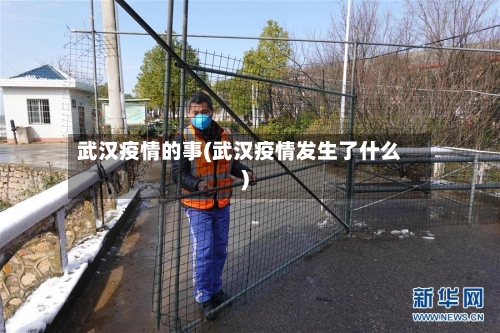 武汉疫情的事(武汉疫情发生了什么)