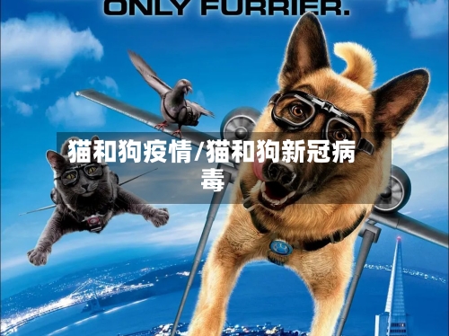 猫和狗疫情/猫和狗新冠病毒-第2张图片