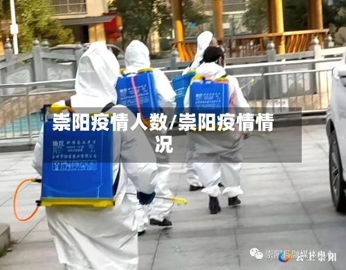 崇阳疫情人数/崇阳疫情情况