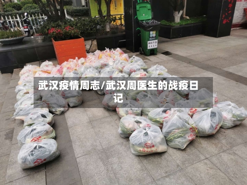 武汉疫情周志/武汉周医生的战疫日记