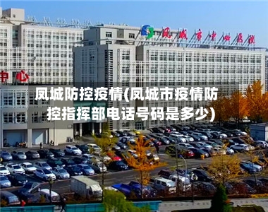 凤城防控疫情(凤城市疫情防控指挥部电话号码是多少)-第2张图片