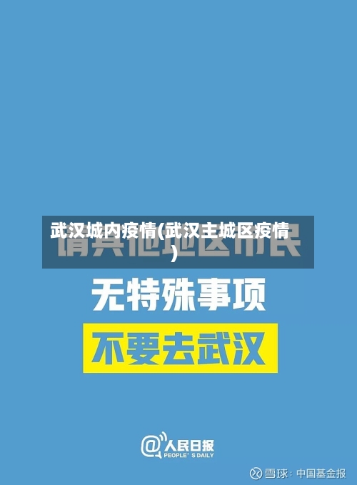 武汉城内疫情(武汉主城区疫情)-第3张图片