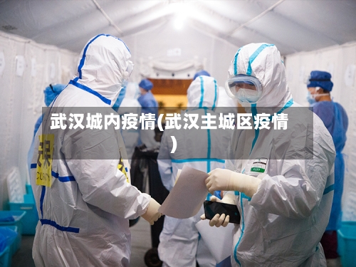 武汉城内疫情(武汉主城区疫情)-第2张图片
