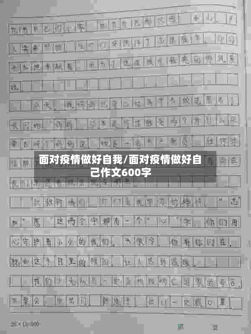面对疫情做好自我/面对疫情做好自己作文600字-第3张图片