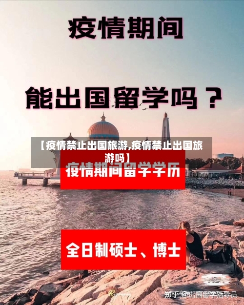 【疫情禁止出国旅游,疫情禁止出国旅游吗】