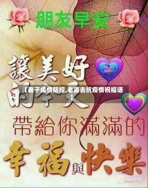 【妻子疫情防控,老婆去抗疫情祝福语】-第3张图片