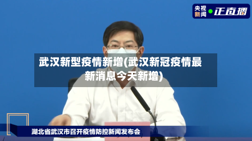 武汉新型疫情新增(武汉新冠疫情最新消息今天新增)-第2张图片