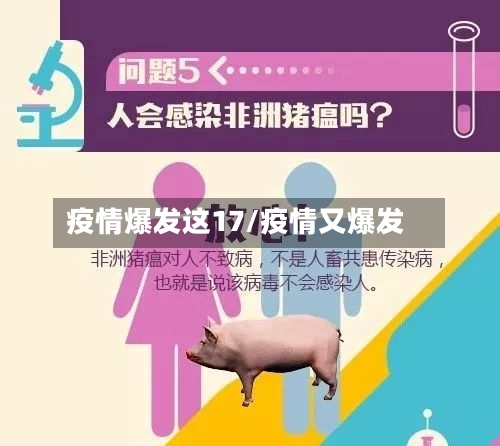 疫情爆发这17/疫情又爆发-第2张图片