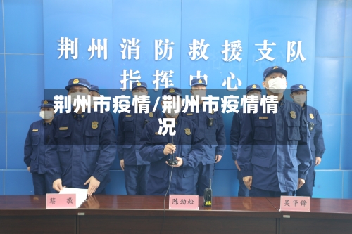 荆州市疫情/荆州市疫情情况