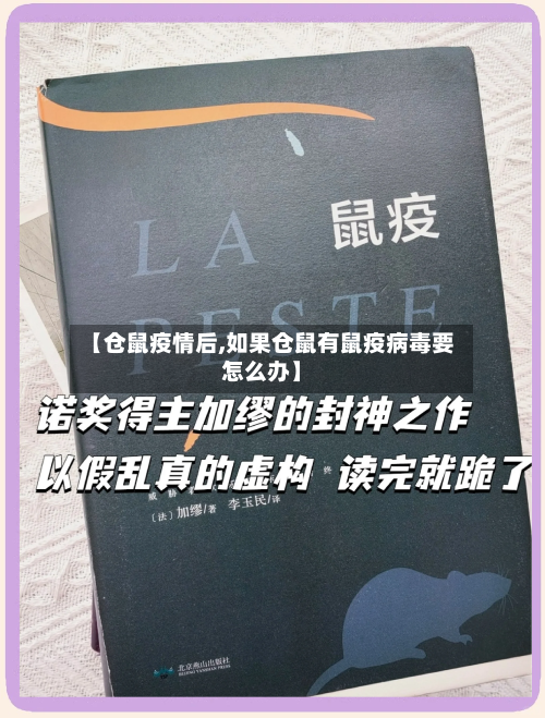 【仓鼠疫情后,如果仓鼠有鼠疫病毒要怎么办】