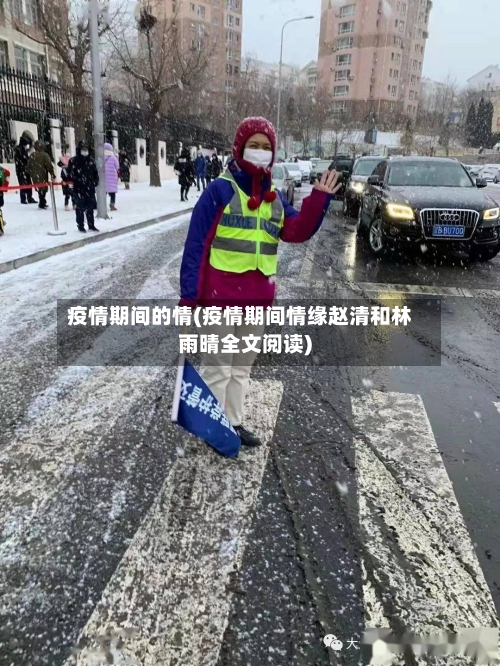 疫情期间的情(疫情期间情缘赵清和林雨晴全文阅读)