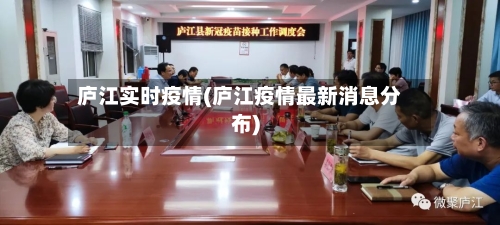 庐江实时疫情(庐江疫情最新消息分布)-第2张图片