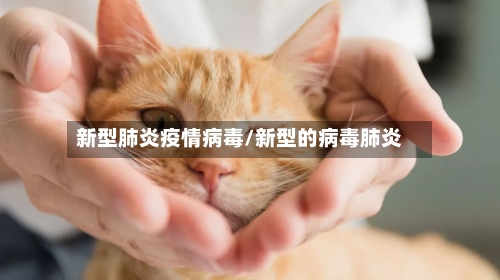 新型肺炎疫情病毒/新型的病毒肺炎-第3张图片