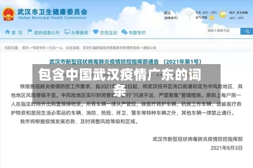 包含中国武汉疫情广东的词条-第2张图片