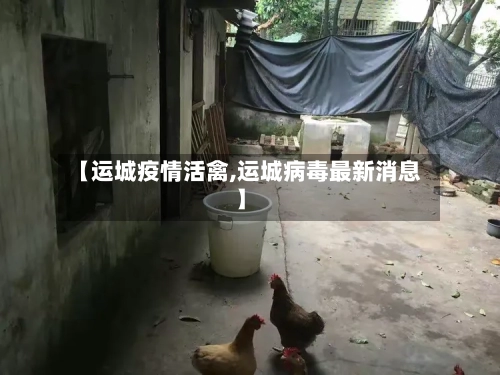 【运城疫情活禽,运城病毒最新消息】