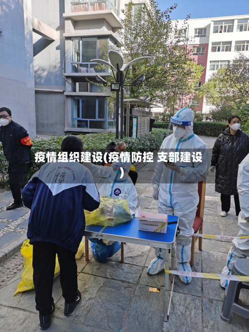 疫情组织建设(疫情防控 支部建设)