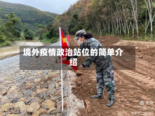 境外疫情政治站位的简单介绍-第2张图片