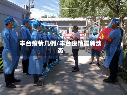 丰台疫情几例/丰台疫情最新动态-第2张图片