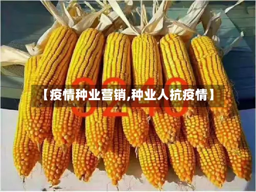 【疫情种业营销,种业人抗疫情】