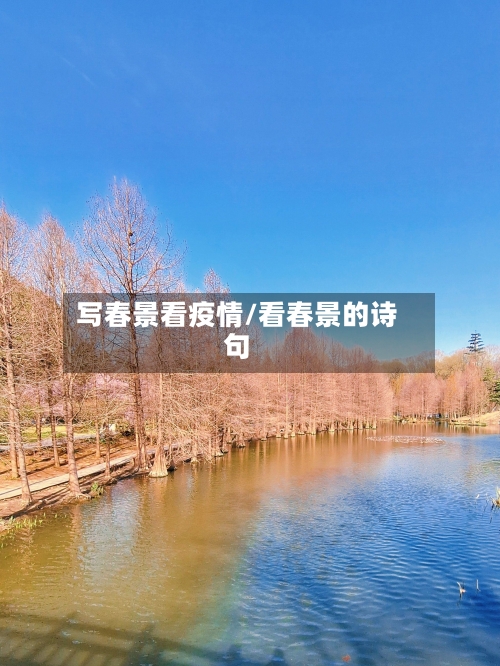 写春景看疫情/看春景的诗句-第2张图片
