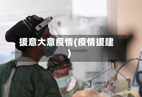 援意大意疫情(疫情援建)-第2张图片