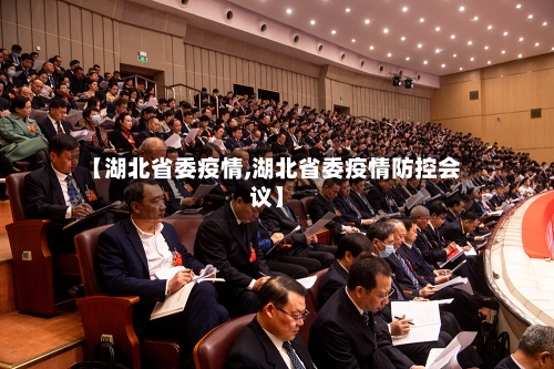 【湖北省委疫情,湖北省委疫情防控会议】
