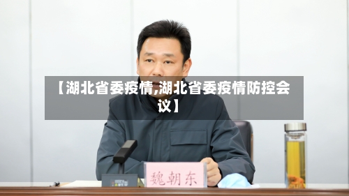 【湖北省委疫情,湖北省委疫情防控会议】-第2张图片
