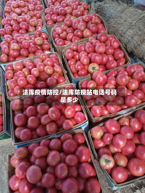 法库疫情防控/法库防疫站电话号码是多少