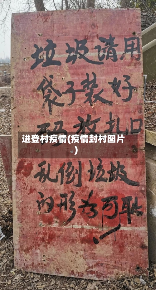 进登村疫情(疫情封村图片)