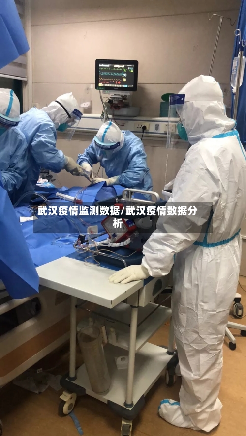武汉疫情监测数据/武汉疫情数据分析-第2张图片