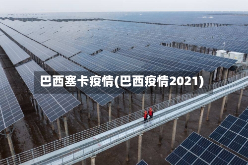 巴西塞卡疫情(巴西疫情2021)-第2张图片