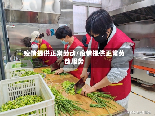 疫情提供正常劳动/疫情提供正常劳动服务