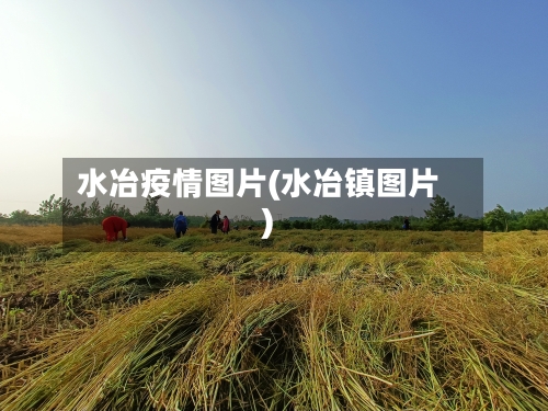 水冶疫情图片(水冶镇图片)