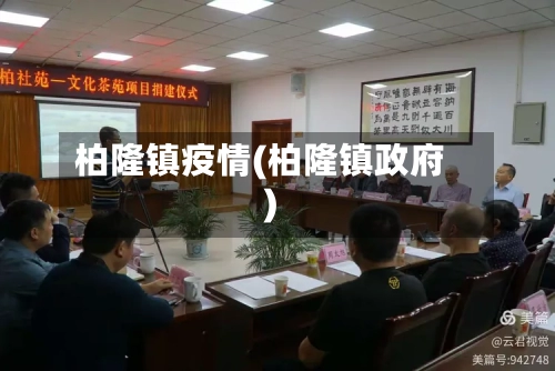 柏隆镇疫情(柏隆镇政府)-第3张图片