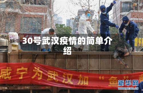 30号武汉疫情的简单介绍