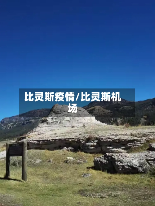 比灵斯疫情/比灵斯机场