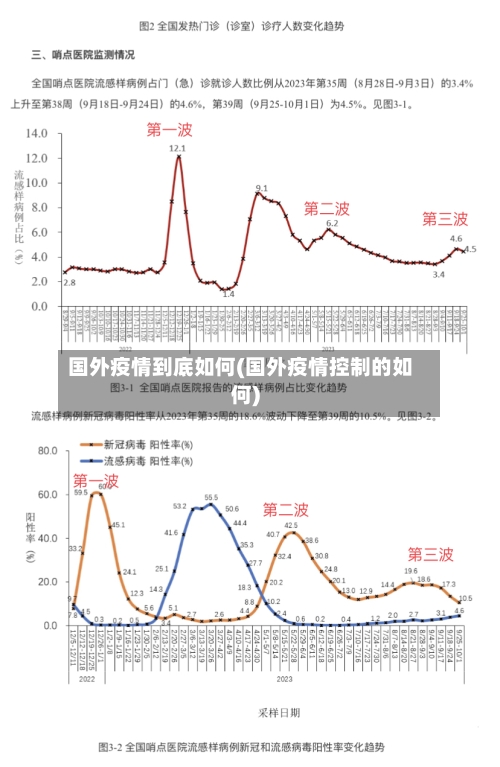 国外疫情到底如何(国外疫情控制的如何)-第3张图片