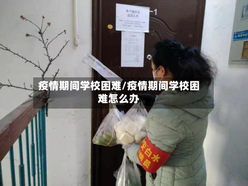 疫情期间学校困难/疫情期间学校困难怎么办